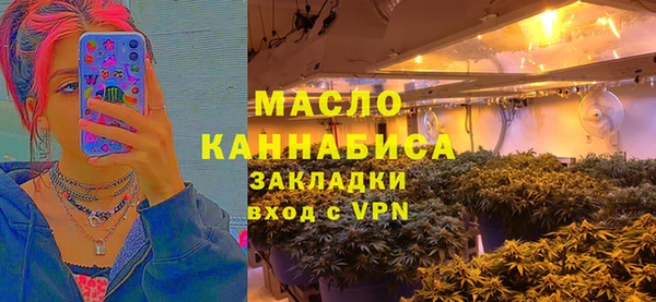 стаф Аркадак