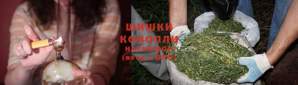 ГАЛЛЮЦИНОГЕННЫЕ ГРИБЫ Арсеньев