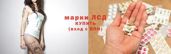 стаф Аркадак