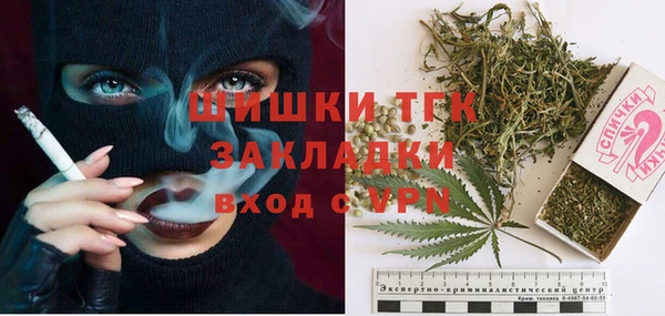 стаф Аркадак