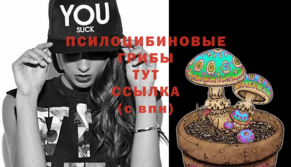 ГАЛЛЮЦИНОГЕННЫЕ ГРИБЫ Арсеньев