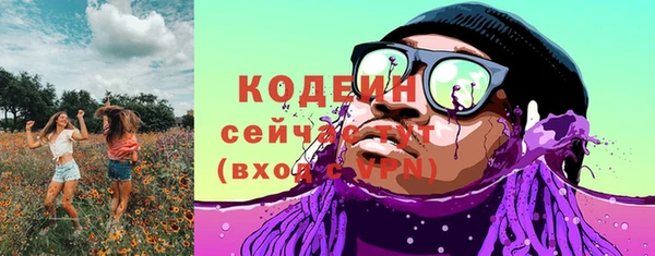 ГАЛЛЮЦИНОГЕННЫЕ ГРИБЫ Арсеньев