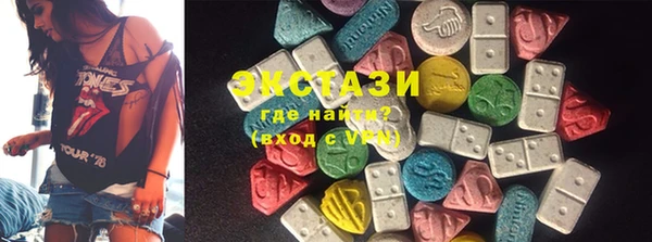 стаф Аркадак