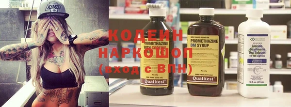 ГАЛЛЮЦИНОГЕННЫЕ ГРИБЫ Арсеньев