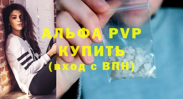 стаф Аркадак