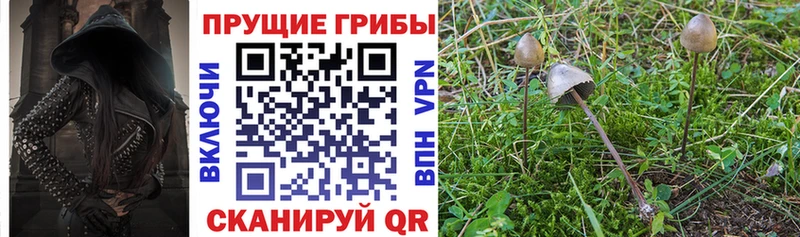 Галлюциногенные грибы ЛСД  сайты даркнета телеграм  Баймак  как найти наркотики 